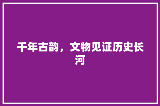 千年古韵，文物见证历史长河