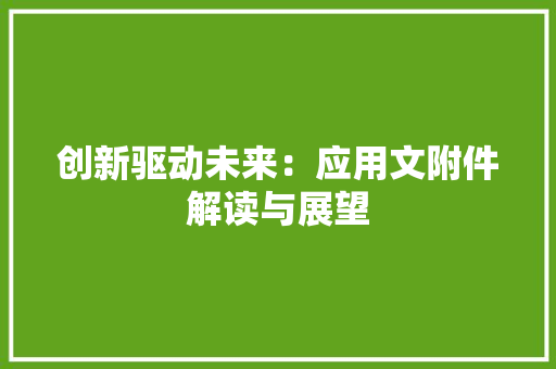 创新驱动未来：应用文附件解读与展望