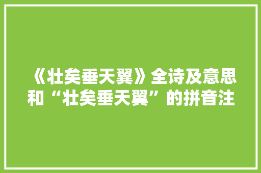 《壮矣垂天翼》全诗及意思和“壮矣垂天翼”的拼音注释