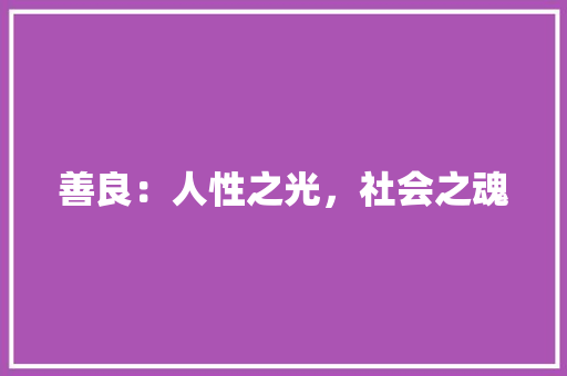 善良：人性之光，社会之魂