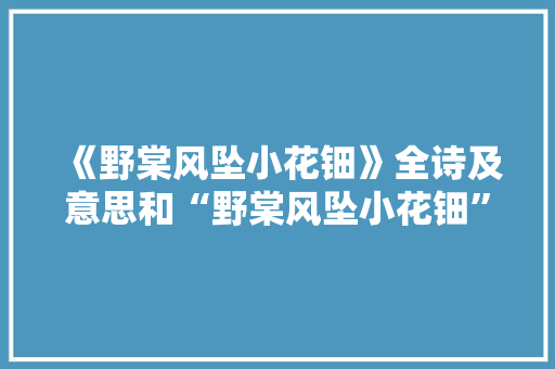 《野棠风坠小花钿》全诗及意思和“野棠风坠小花钿”的拼音注释