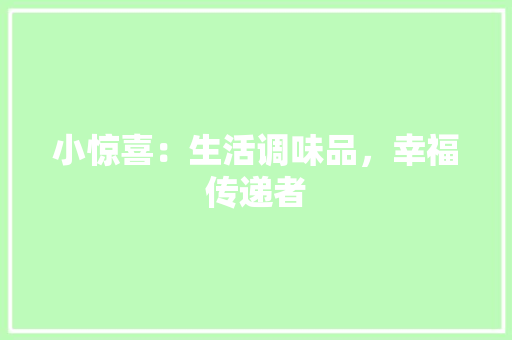 小惊喜：生活调味品，幸福传递者 应用文
