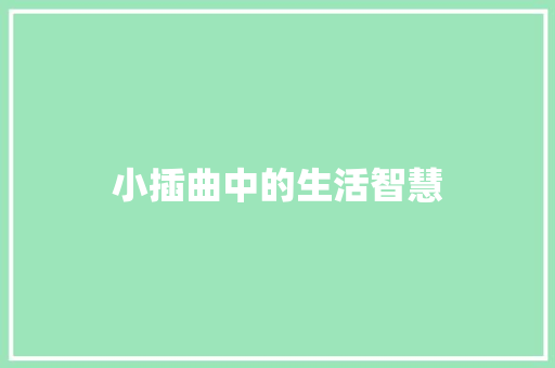 小插曲中的生活智慧