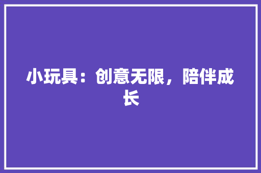 小玩具：创意无限，陪伴成长