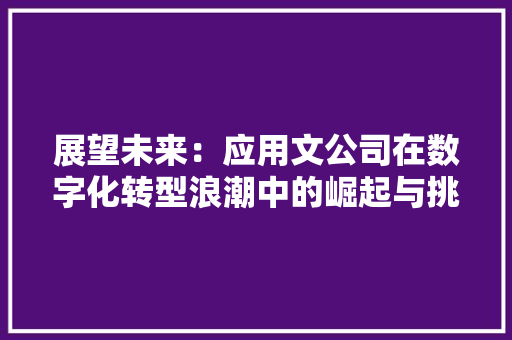 展望未来：应用文公司在数字化转型浪潮中的崛起与挑战 应用文