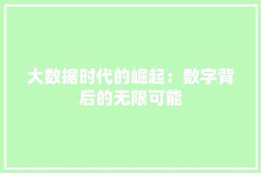 大数据时代的崛起：数字背后的无限可能