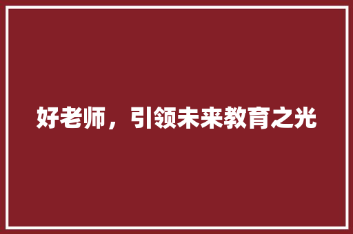 好老师，引领未来教育之光