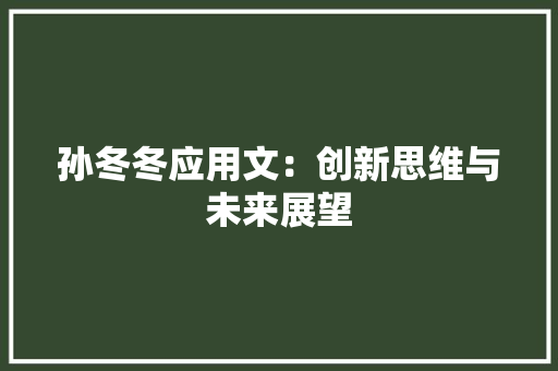 孙冬冬应用文：创新思维与未来展望 应用文