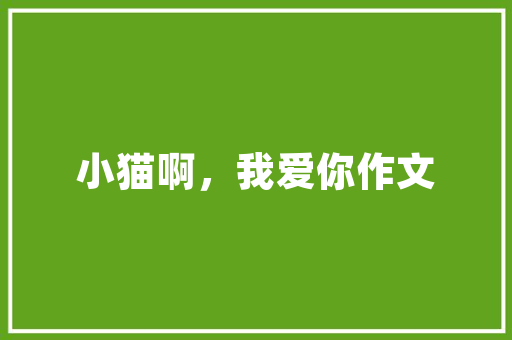 应用文写作的艺术与未来趋势