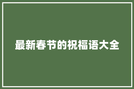 应用文写作的艺术与魅力