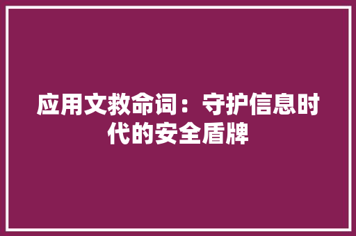 应用文救命词：守护信息时代的安全盾牌 应用文