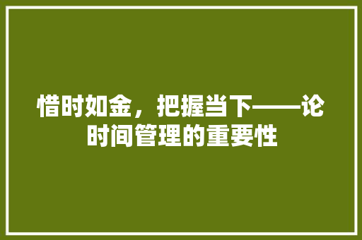 惜时如金，把握当下——论时间管理的重要性