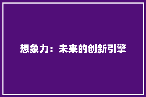 想象力：未来的创新引擎 应用文