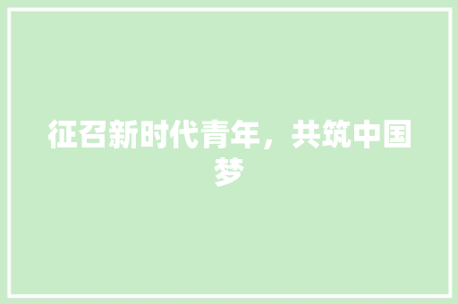征召新时代青年，共筑中国梦 应用文