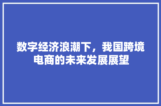 数字经济浪潮下，我国跨境电商的未来发展展望 应用文