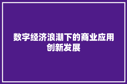 数字经济浪潮下的商业应用创新发展 应用文