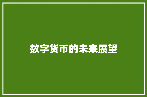 数字货币的未来展望