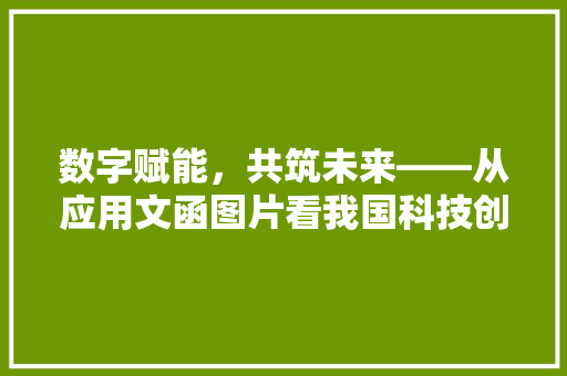 数字赋能，共筑未来——从应用文函图片看我国科技创新之路 应用文
