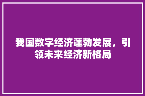 我国数字经济蓬勃发展，引领未来经济新格局 应用文