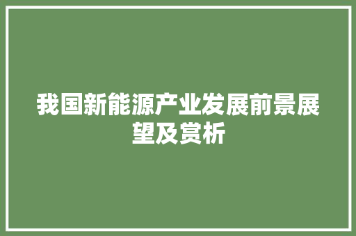 我国新能源产业发展前景展望及赏析