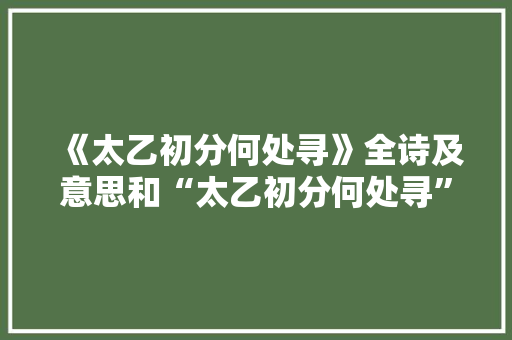 《太乙初分何处寻》全诗及意思和“太乙初分何处寻”的拼音注释