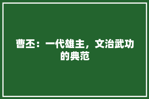 曹丕：一代雄主，文治武功的典范