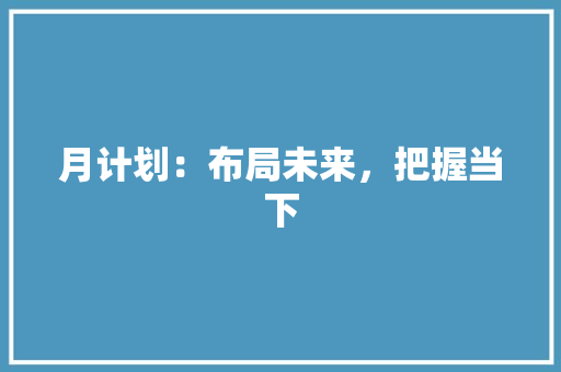 月计划：布局未来，把握当下 应用文
