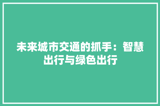 未来城市交通的抓手：智慧出行与绿色出行