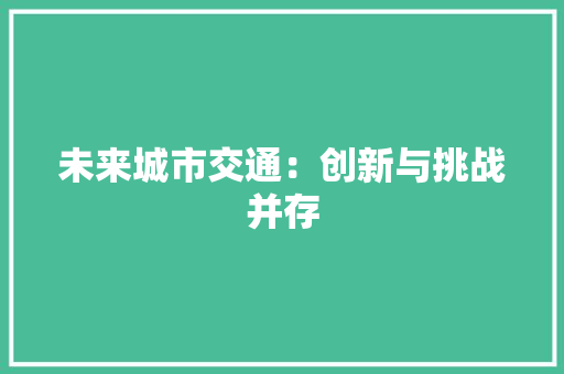 未来城市交通：创新与挑战并存