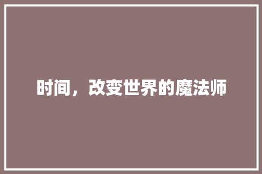 时间，改变世界的魔法师 应用文