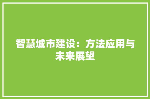 智慧城市建设：方法应用与未来展望 应用文
