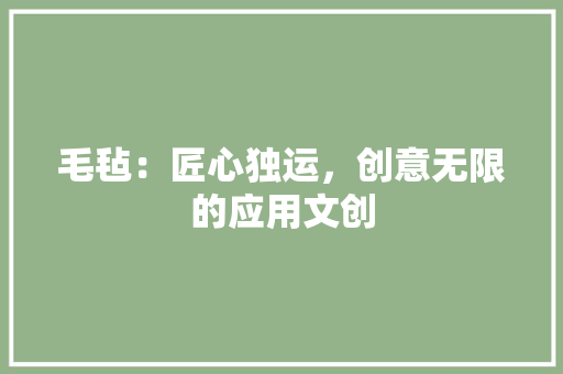 毛毡：匠心独运，创意无限的应用文创 应用文