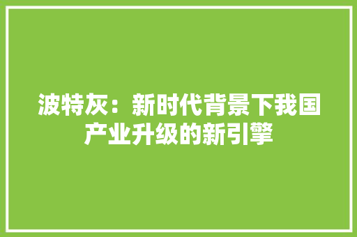 波特灰：新时代背景下我国产业升级的新引擎