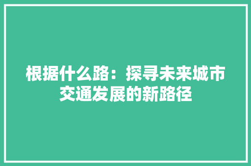 根据什么路：探寻未来城市交通发展的新路径