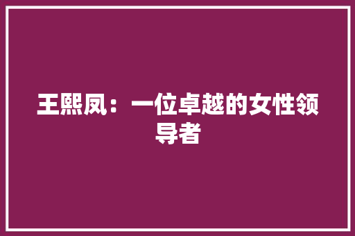 王熙凤：一位卓越的女性领导者