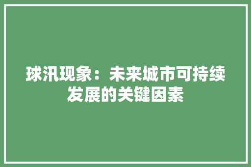 球汛现象：未来城市可持续发展的关键因素
