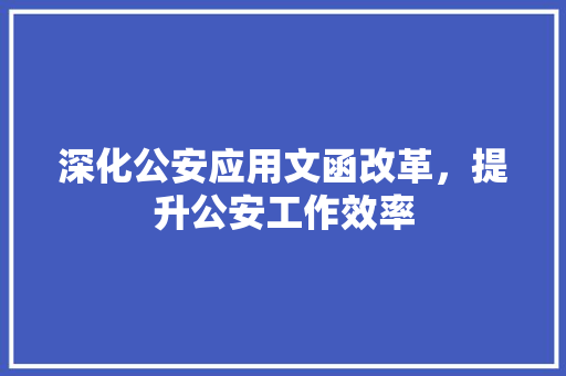 深化公安应用文函改革，提升公安工作效率 应用文