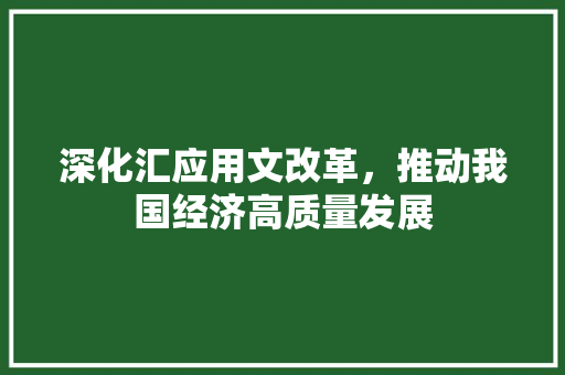 深化汇应用文改革，推动我国经济高质量发展