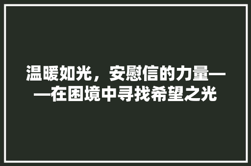 温暖如光，安慰信的力量——在困境中寻找希望之光