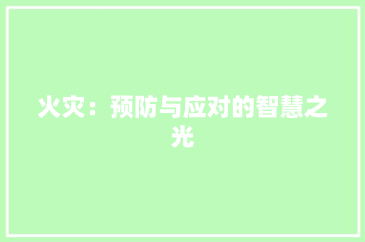 火灾：预防与应对的智慧之光