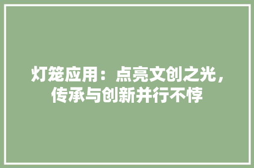 灯笼应用：点亮文创之光，传承与创新并行不悖