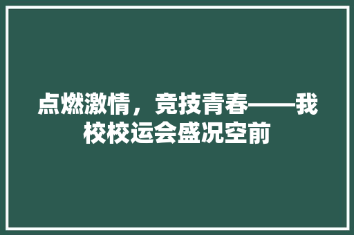 点燃激情，竞技青春——我校校运会盛况空前 应用文