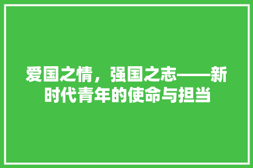 爱国之情，强国之志——新时代青年的使命与担当