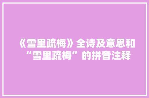 《雪里疏梅》全诗及意思和“雪里疏梅”的拼音注释