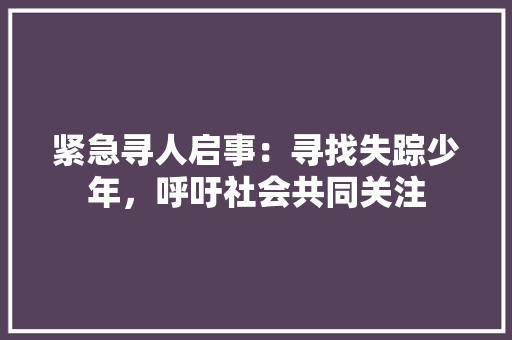 紧急寻人启事：寻找失踪少年，呼吁社会共同关注