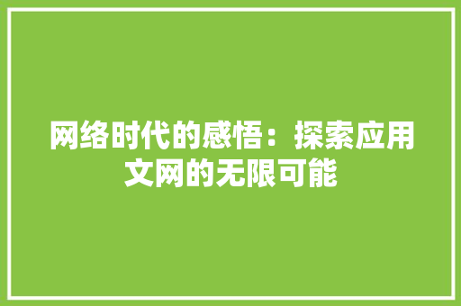 网络时代的感悟：探索应用文网的无限可能