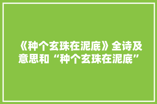 《种个玄珠在泥底》全诗及意思和“种个玄珠在泥底”的拼音注释