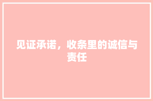 见证承诺，收条里的诚信与责任 应用文