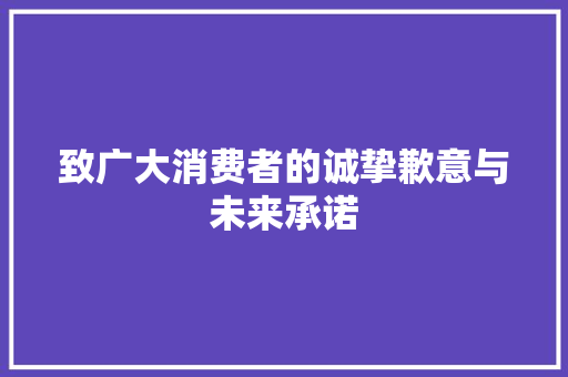 致广大消费者的诚挚歉意与未来承诺 应用文