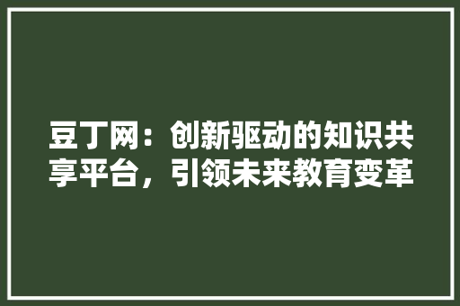 豆丁网：创新驱动的知识共享平台，引领未来教育变革